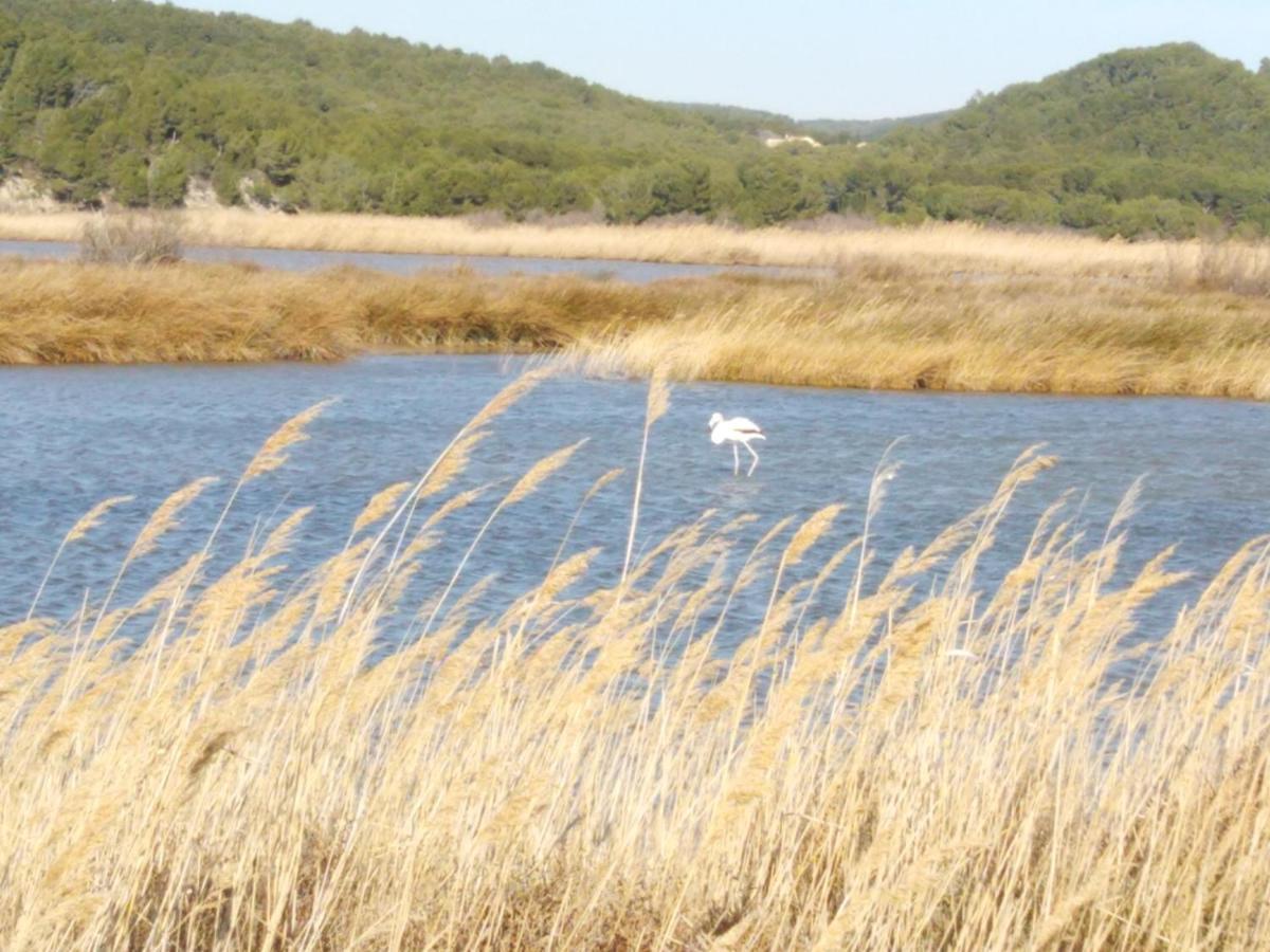 Entre Ville Et Canal, Calme Et Central - Gare A 700 M Ναρμπόν Εξωτερικό φωτογραφία